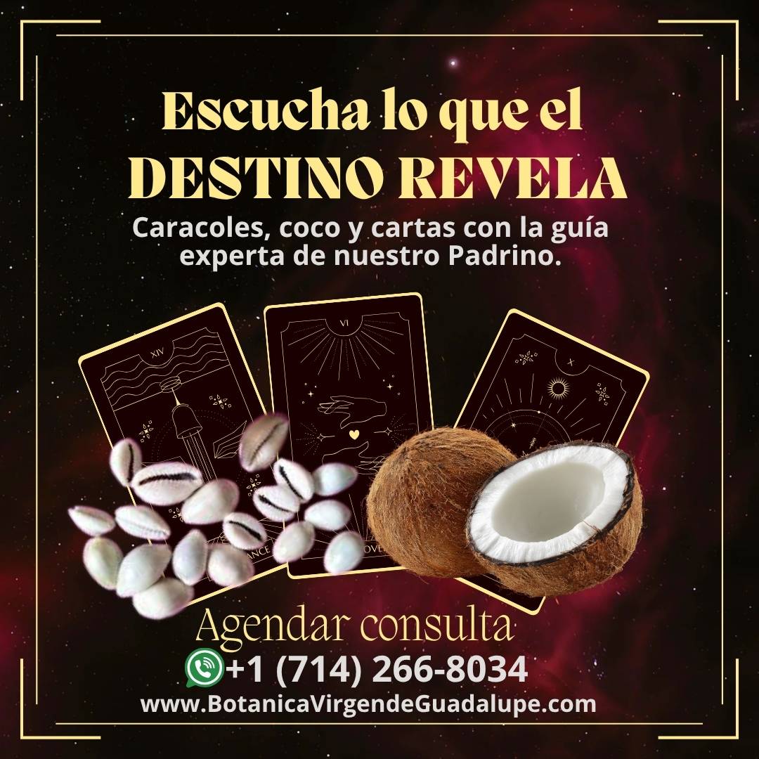 agendar consulta espiritual caracoles cartas botanica virgen guadalupe