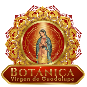 Logotipo oficial de la Botánica Virgen de Guadalupe en Santa Ana, California - Expertos en Santería