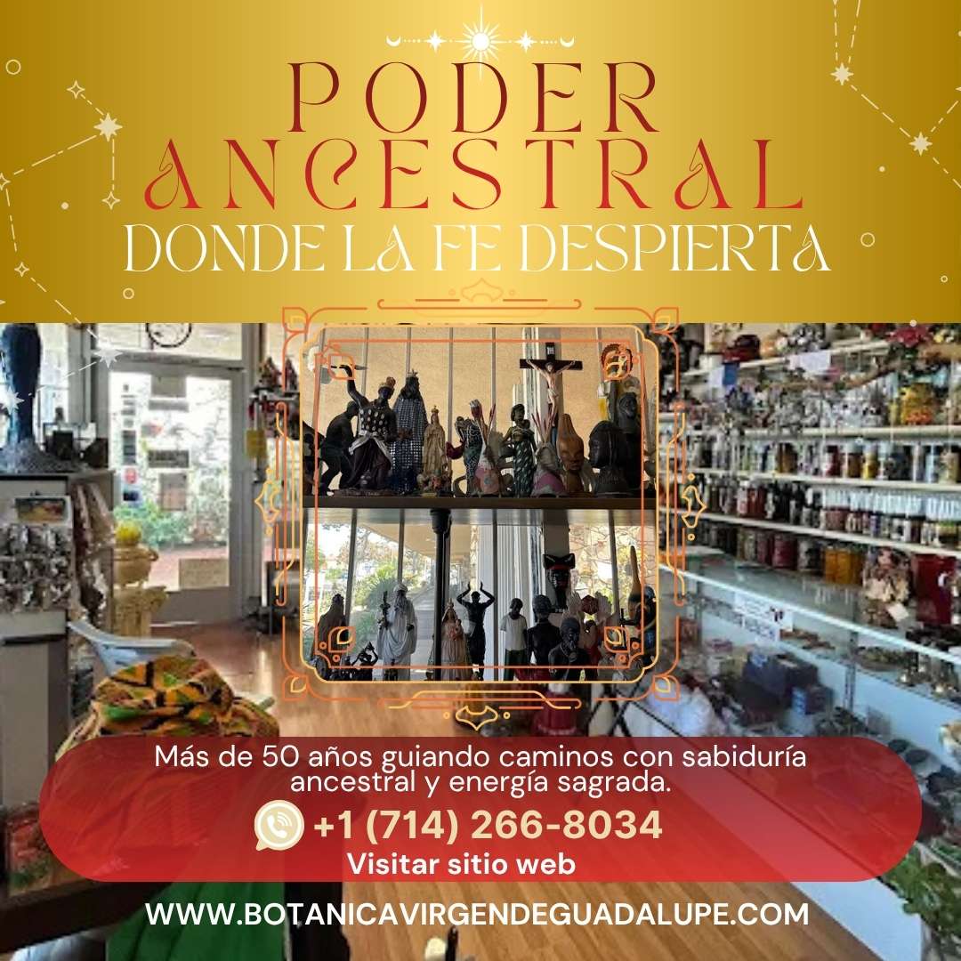 poder ancestral articulos religiosos botanica virgen guadalupe